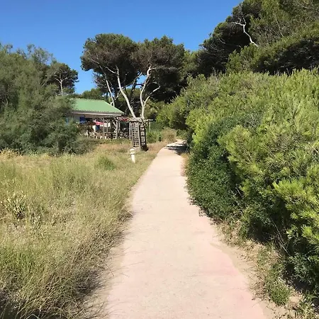 Appartamento La Pinede Vue Mer *