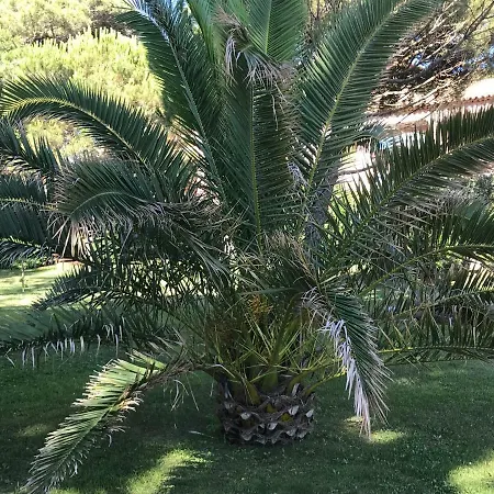La Pinede Vue Mer Appartamento