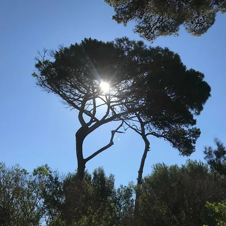 La Pinede Vue Mer Apartment Hyeres