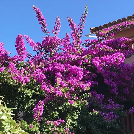 La Pinede Vue Mer Hyeres